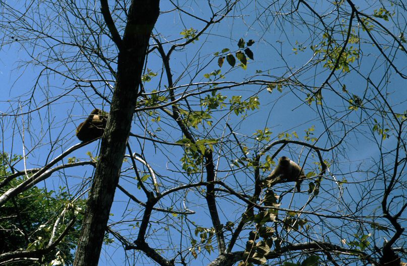 image0037.jpg