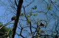 image0037.jpg