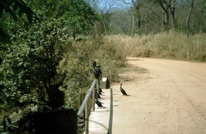 image0042.jpg