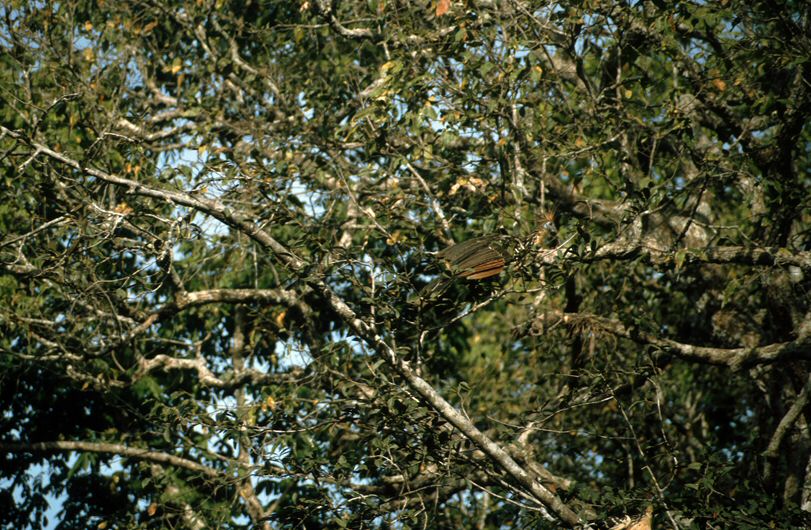 image0043.jpg