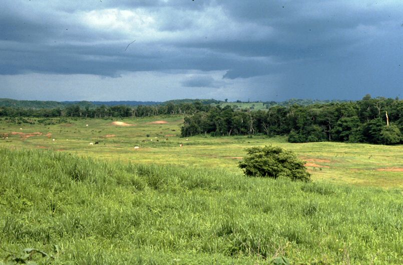 image49.jpg