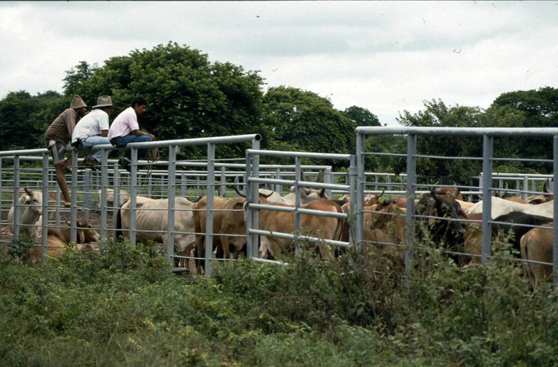 image52.jpg