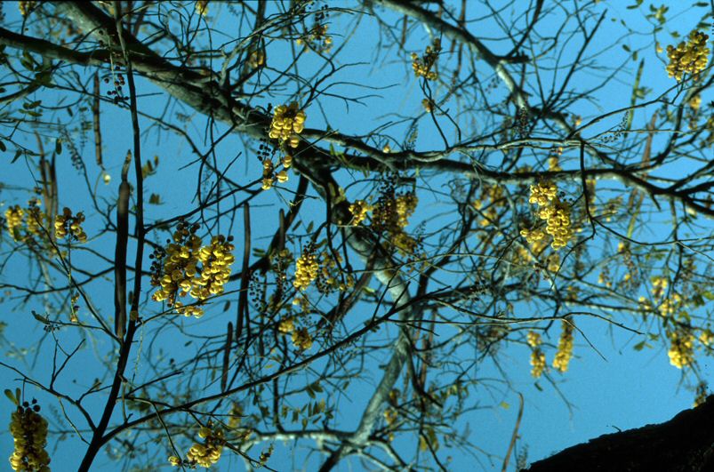 image57.jpg