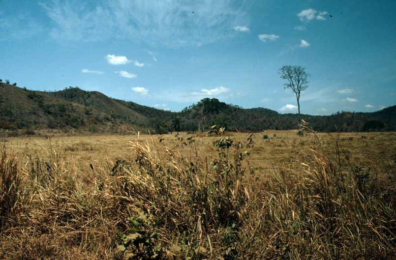 image61.jpg