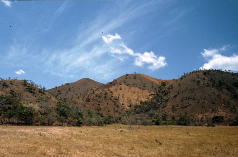 image62.jpg