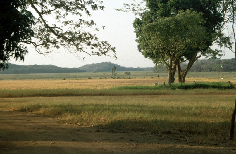 image63.jpg