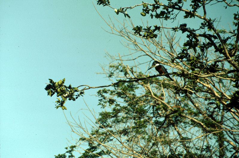 image66.jpg