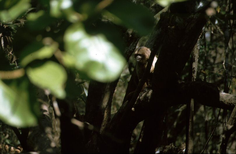image67.jpg