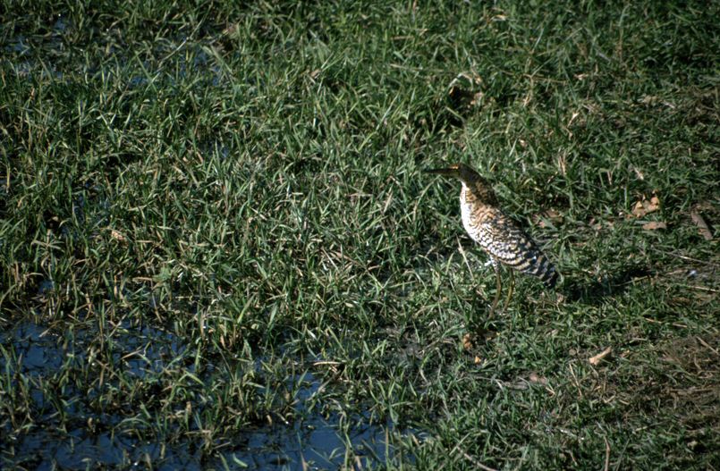 image73.jpg
