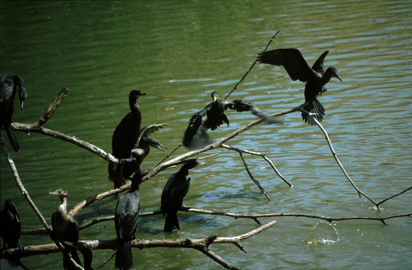 image74.jpg