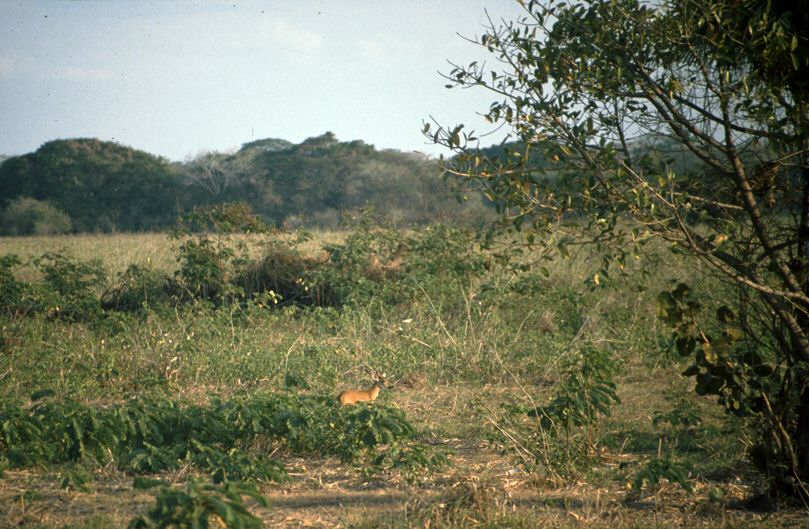 image78.jpg