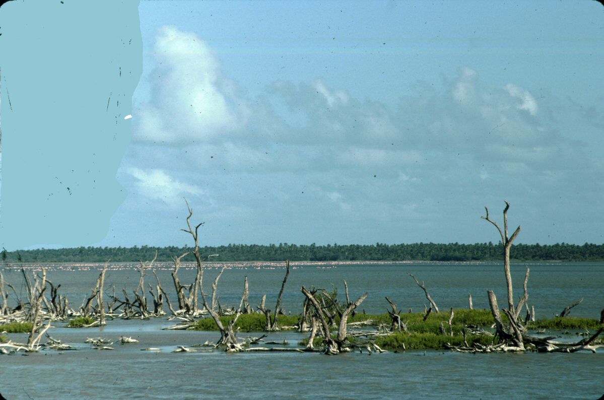 image0127.jpg