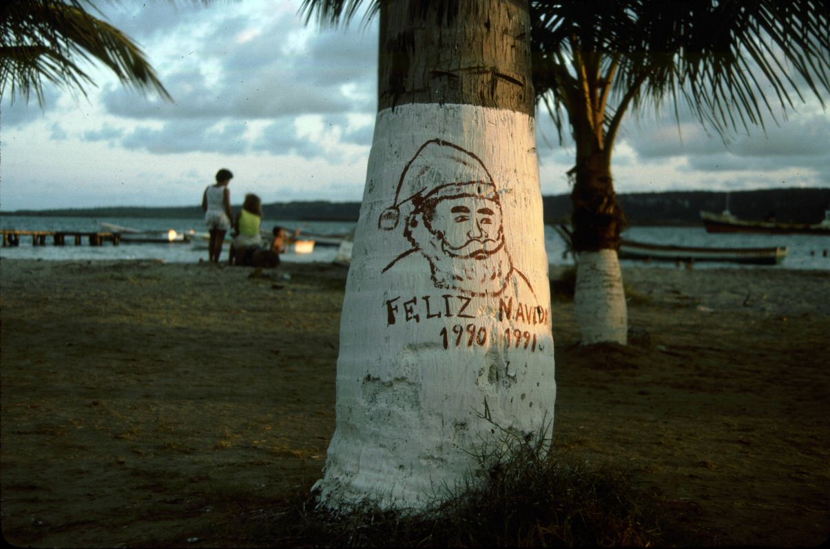 image0130.jpg