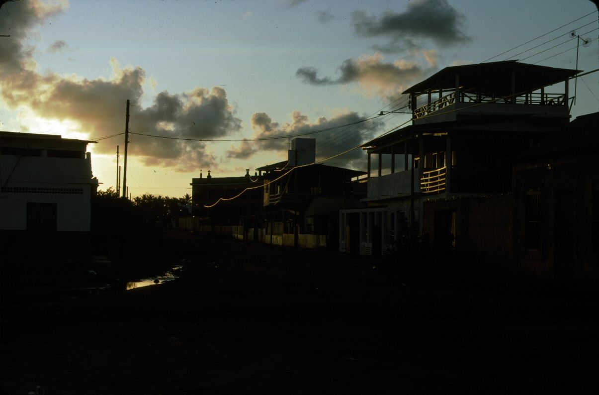 image0131.jpg