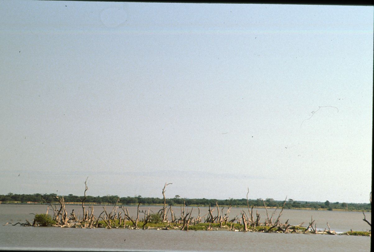 image0133.jpg