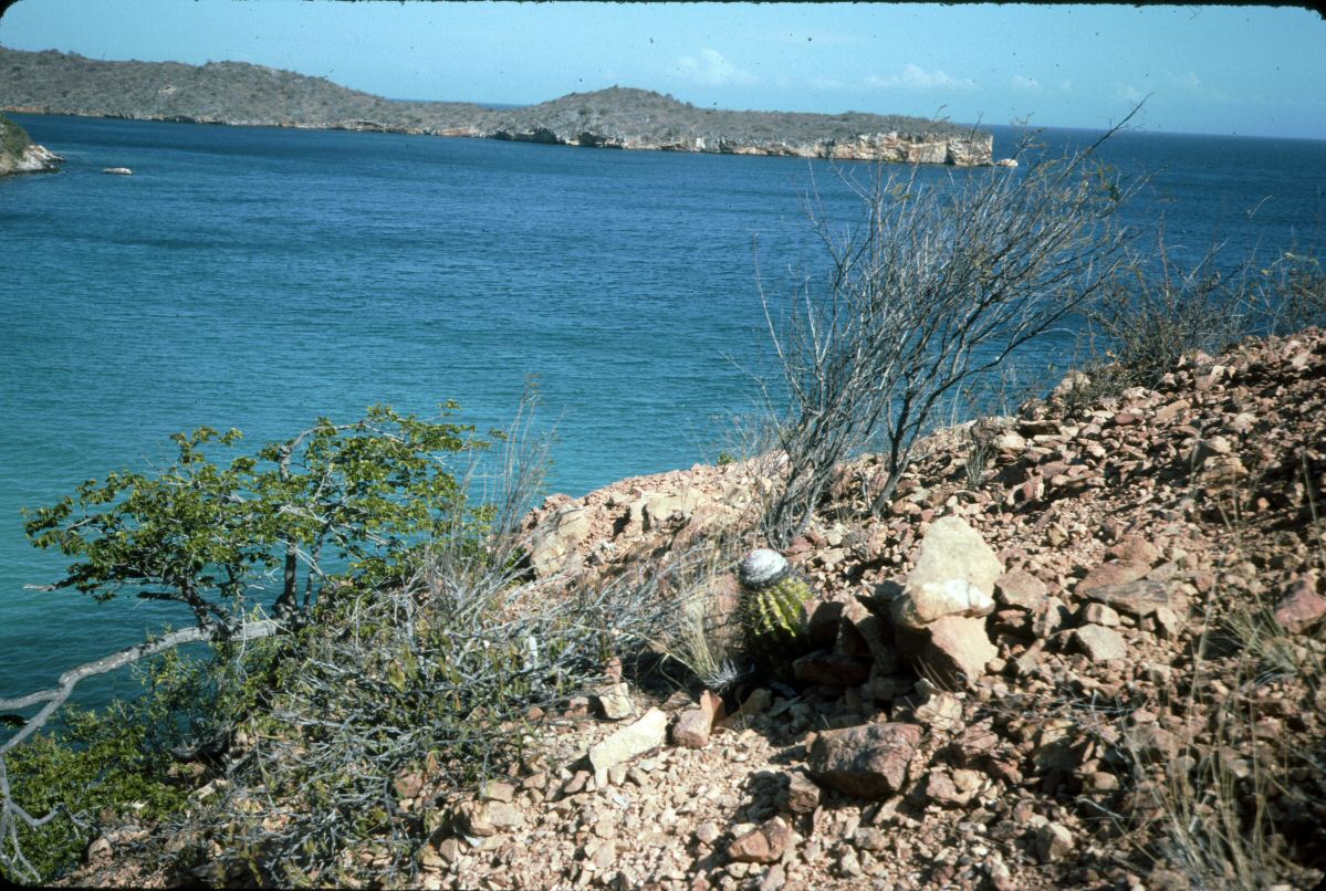 image0162.jpg