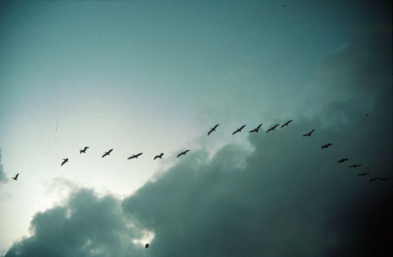 image0177.jpg