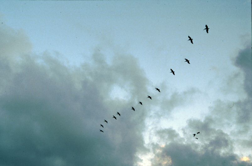 image0178.jpg