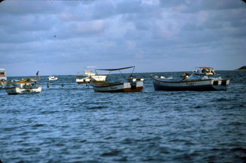 image0187.jpg