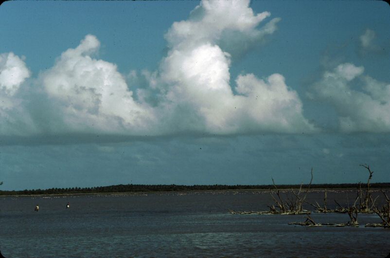 image0189.jpg