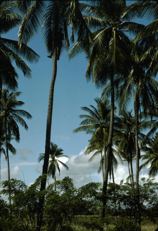 image0190.jpg