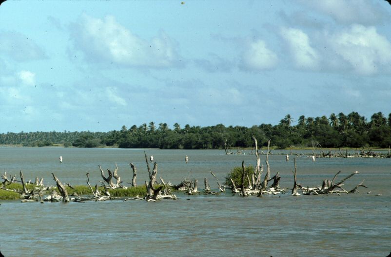 image0191.jpg