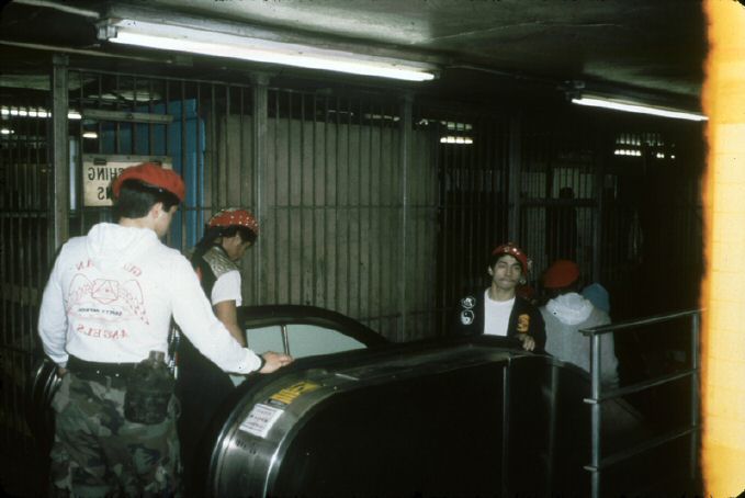 image0222.jpg