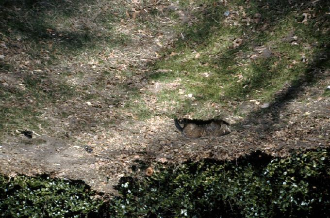 image100.jpg