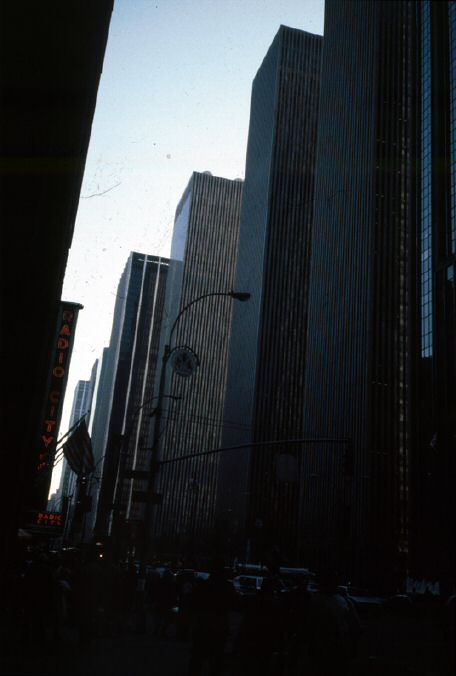 image4.jpg