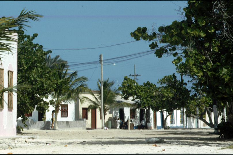 89.jpg