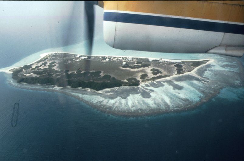 97.jpg