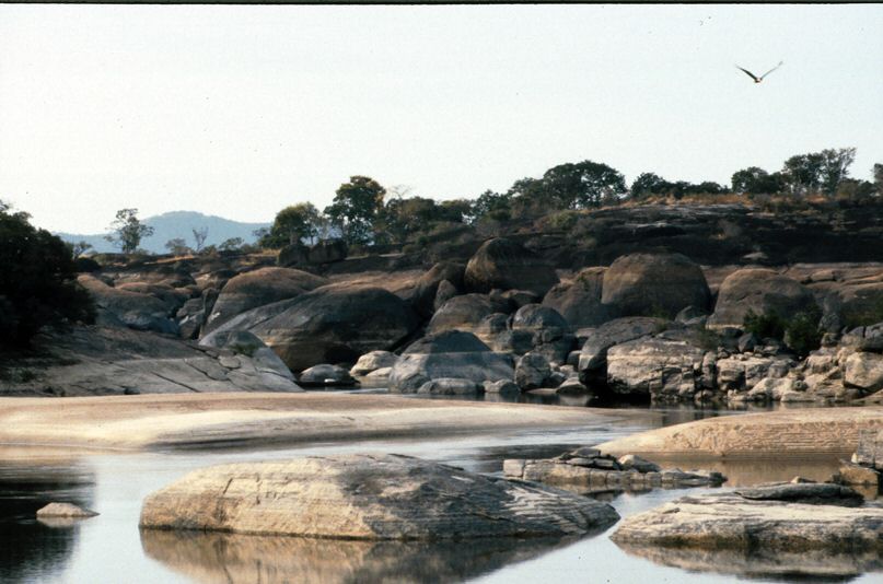 image0081.jpg