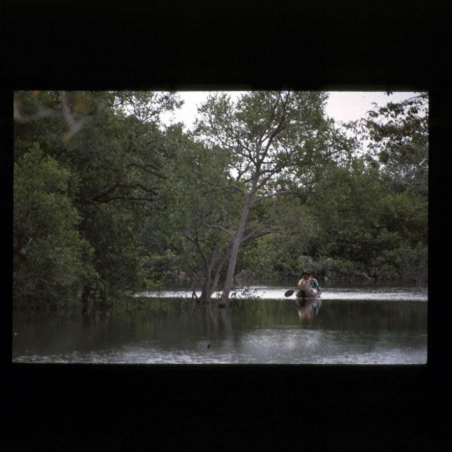 image115.jpg