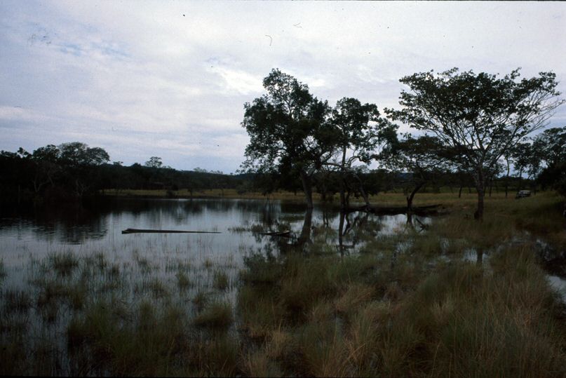 image118.jpg