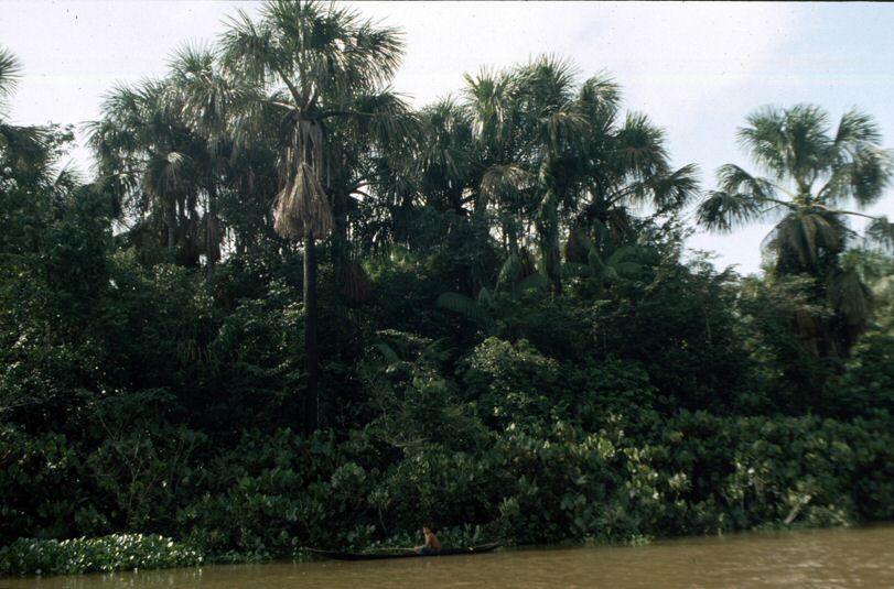 image30.jpg