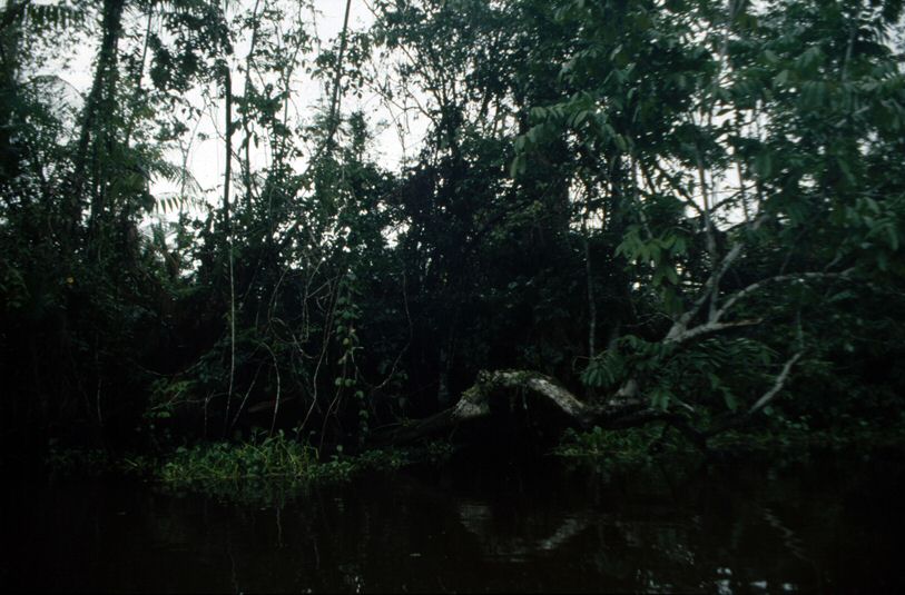 image36.jpg