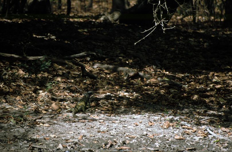 image63.jpg