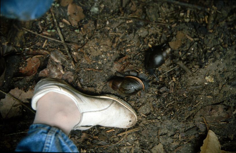 image67.jpg