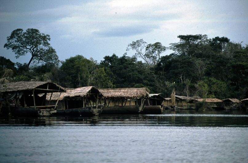 image74.jpg
