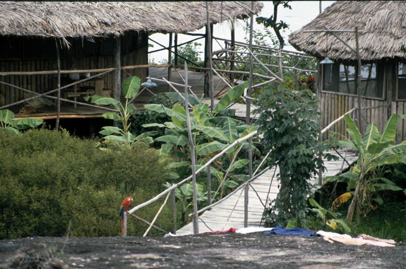 image93.jpg