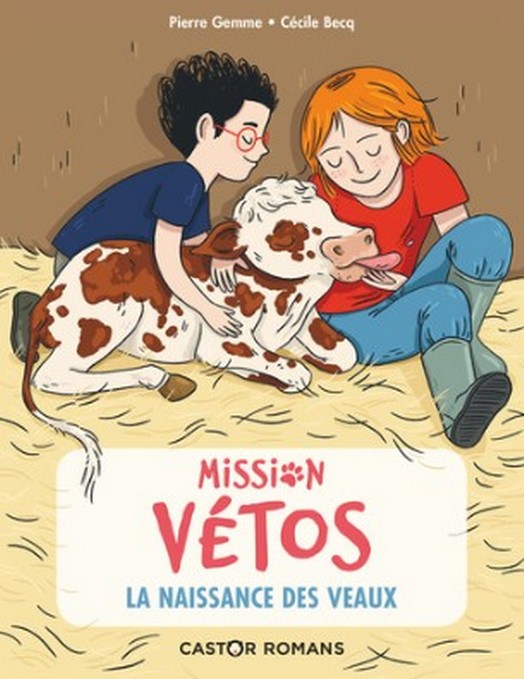 PIERRE GEMME MISSION VETOS