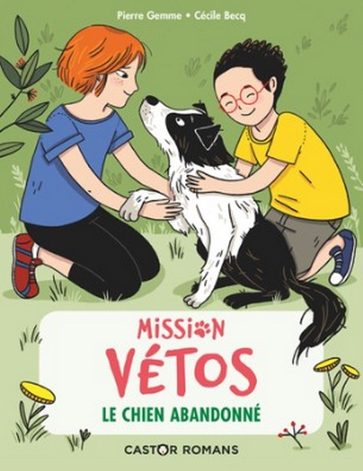 PIERRE GEMME MISSION VETOS