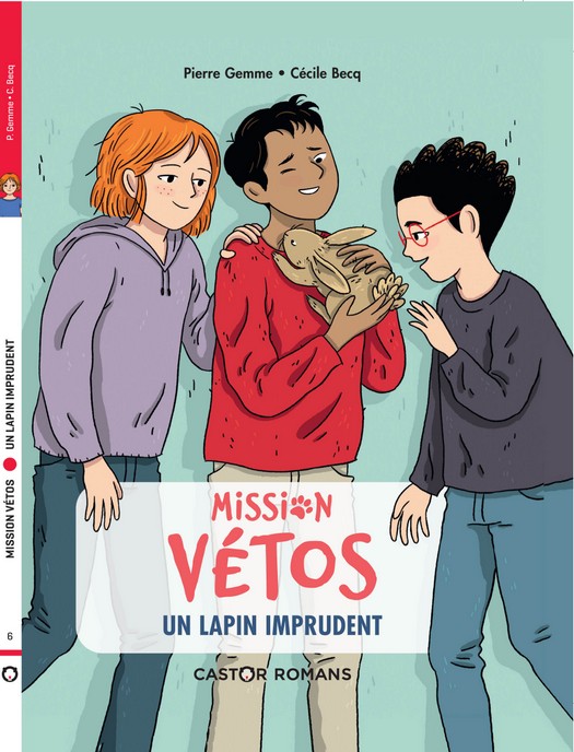 PIERRE GEMME MISSION VETOS