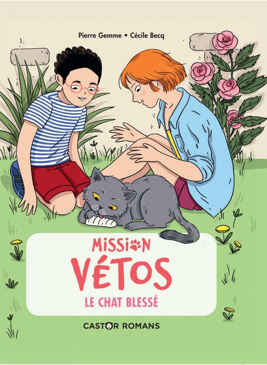 PIERRE GEMME MISSION VETOS