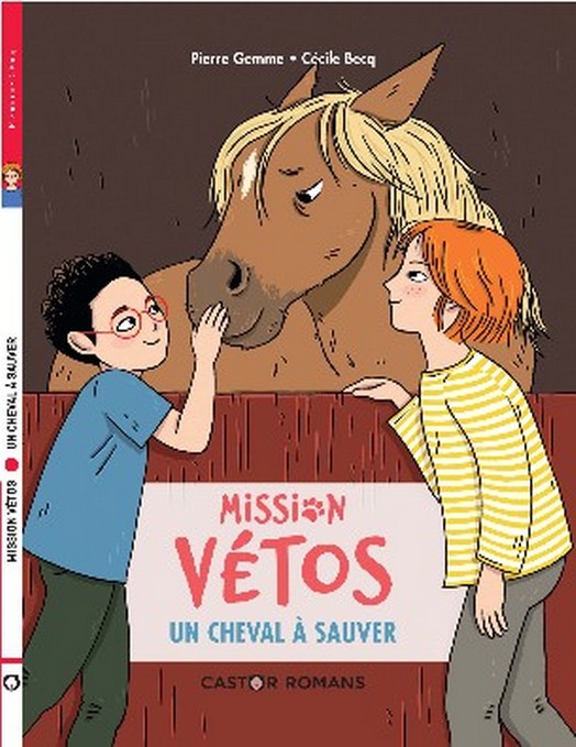 PIERRE GEMME MISSION VETOS