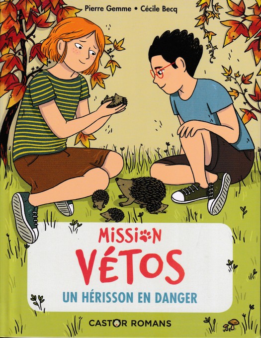PIERRE GEMME MISSION VETOS