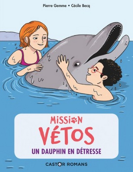 PIERRE GEMME MISSION VETOS
